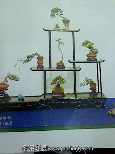 IMG0184A.jpg