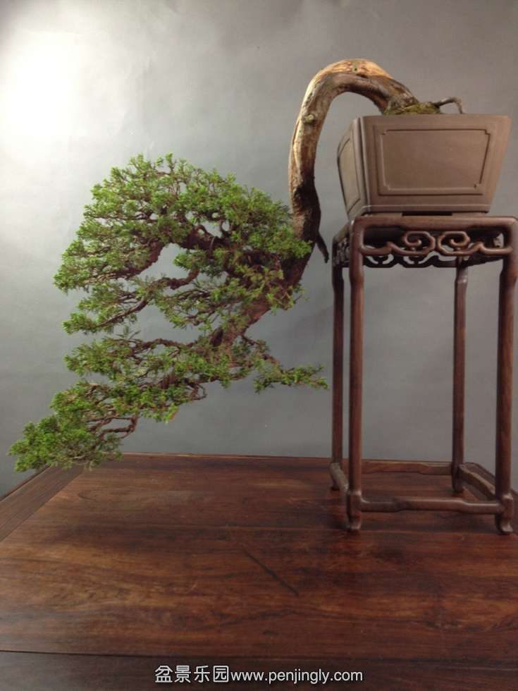 Ʈ��80cm��5cm