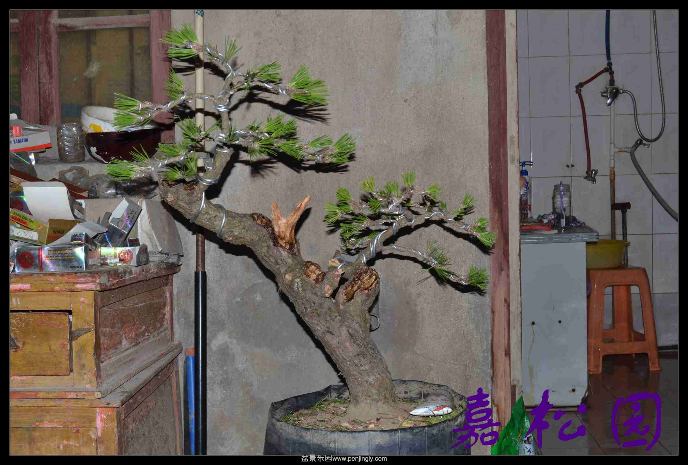 б�˺��� 003.JPG