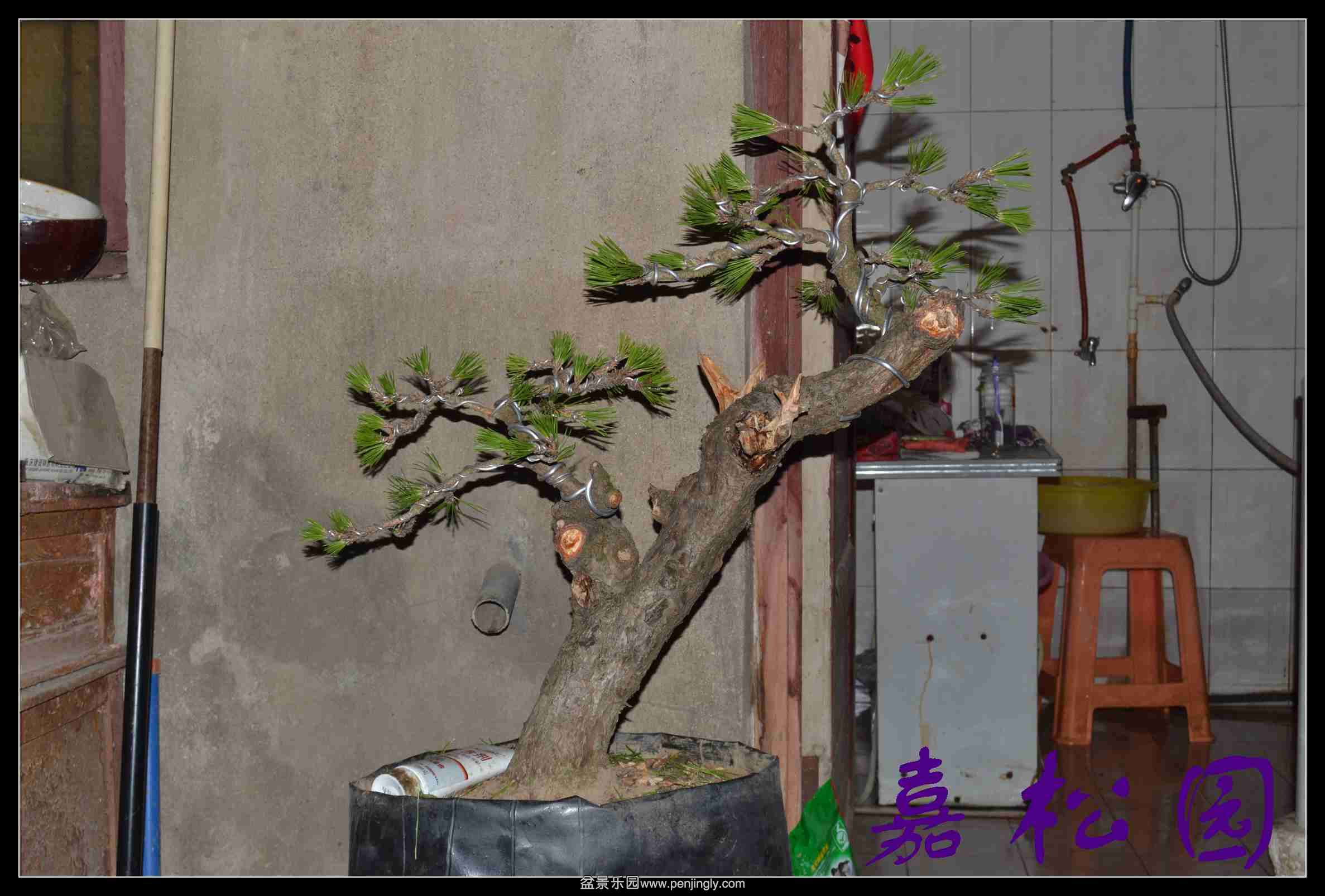 б�˺��� 005.JPG