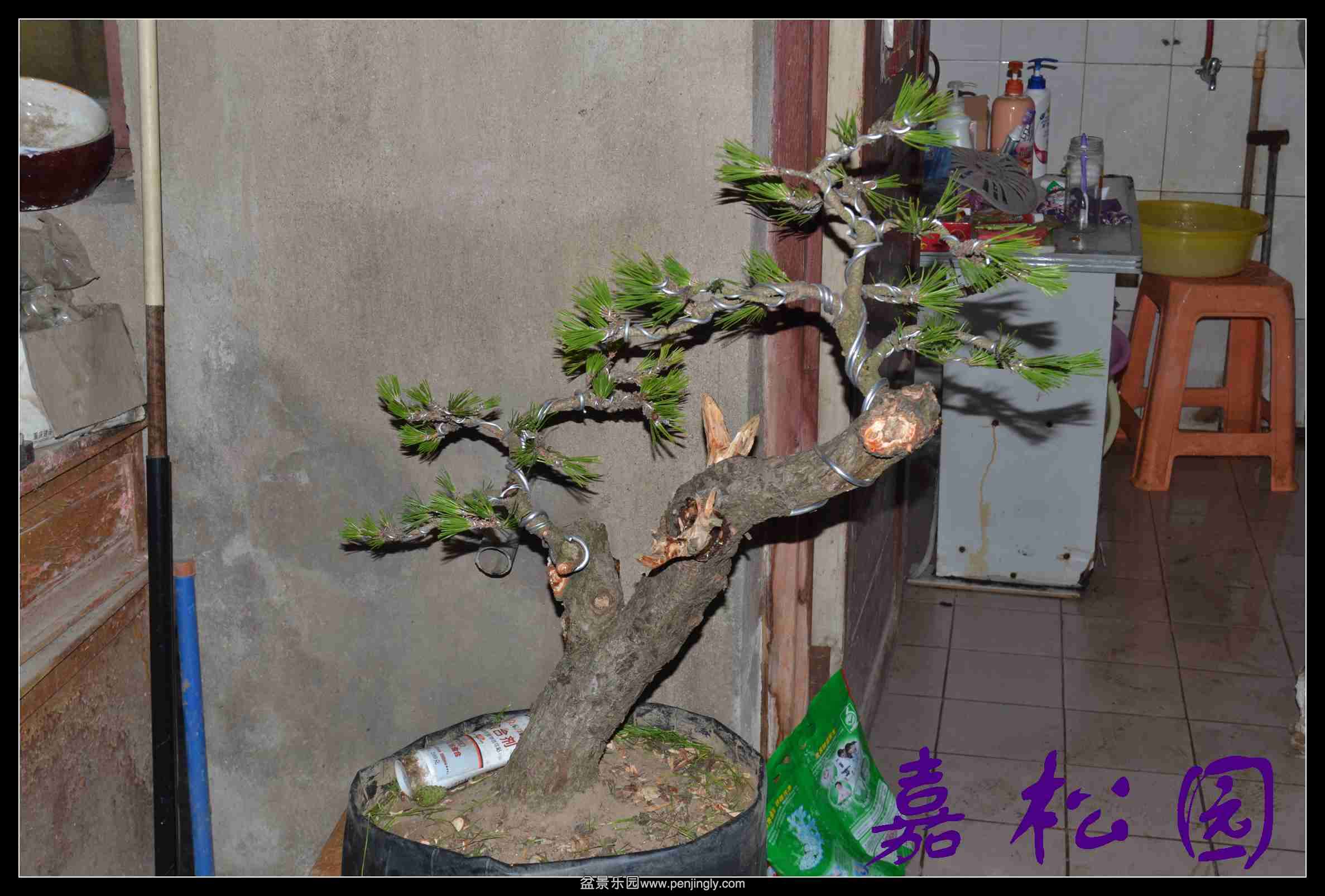 б�˺��� 006.JPG