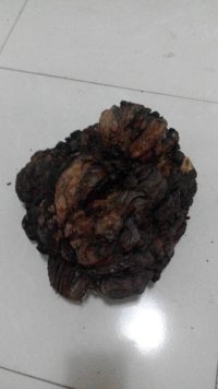 psb (2).jpg