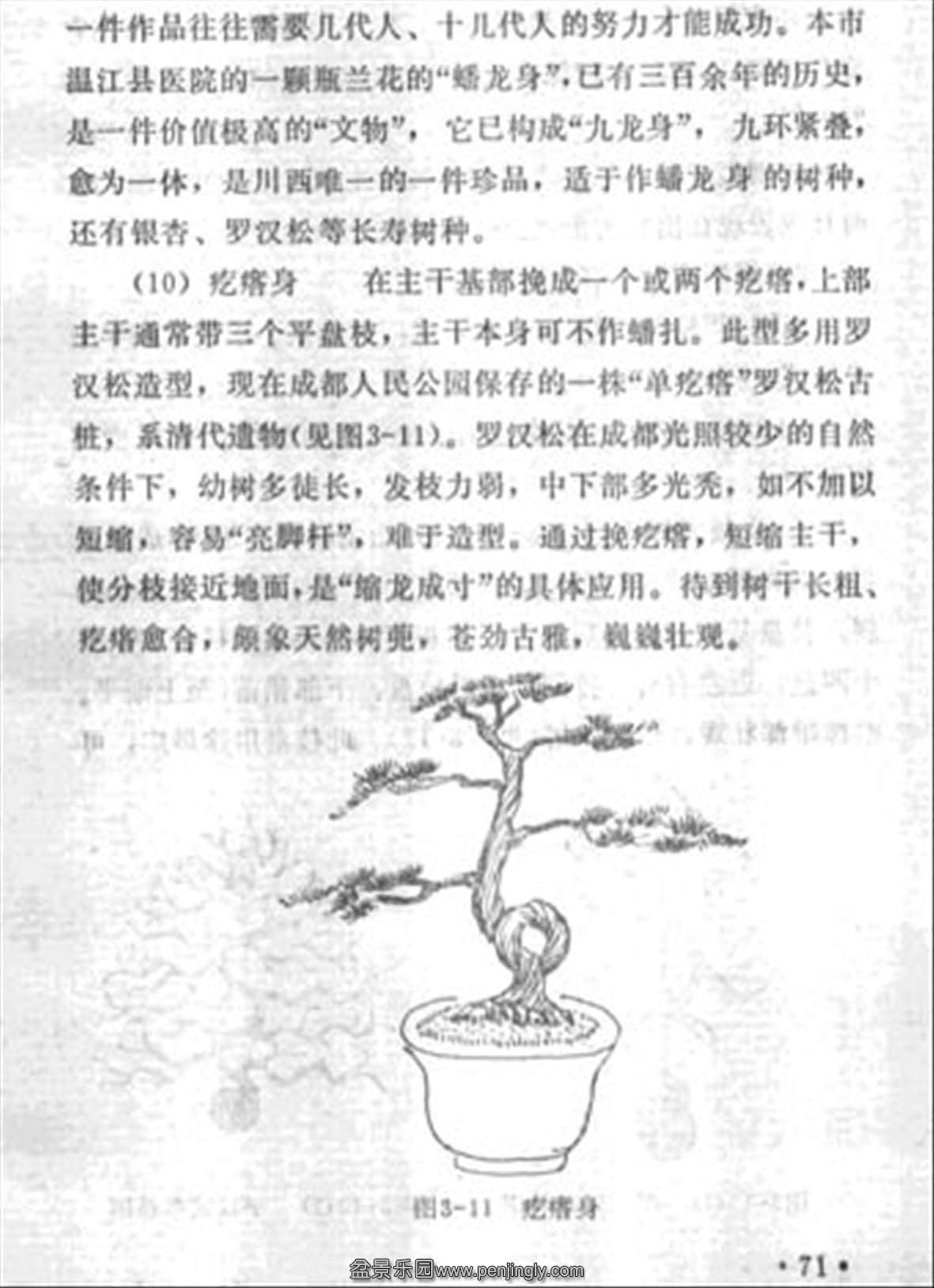 ˴𡶳ɶ辰71.jpg