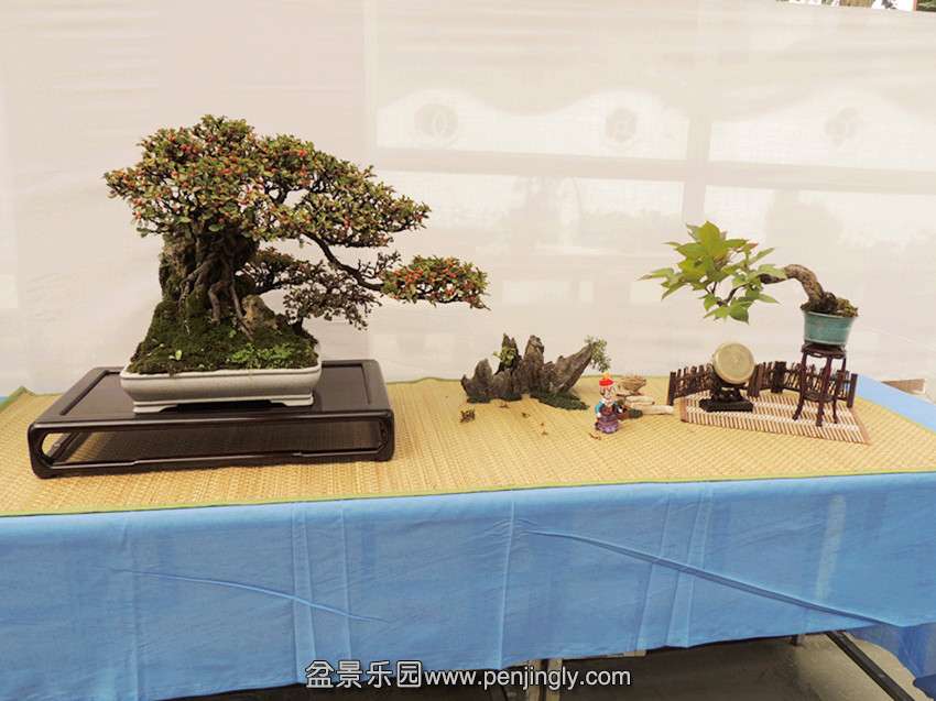 DSCN5574_.jpg