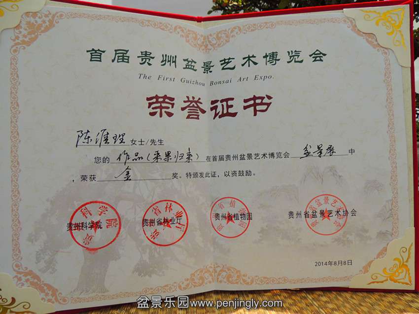DSCN5586_.jpg