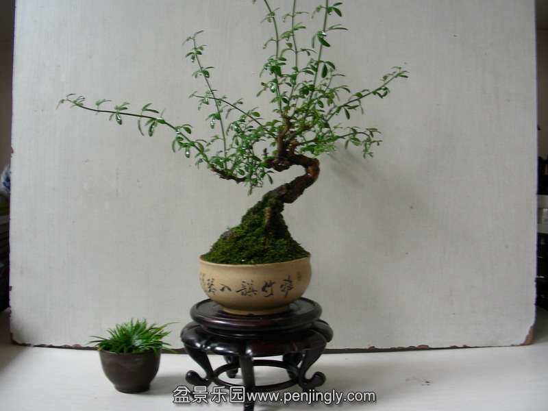DSCN3740.JPG