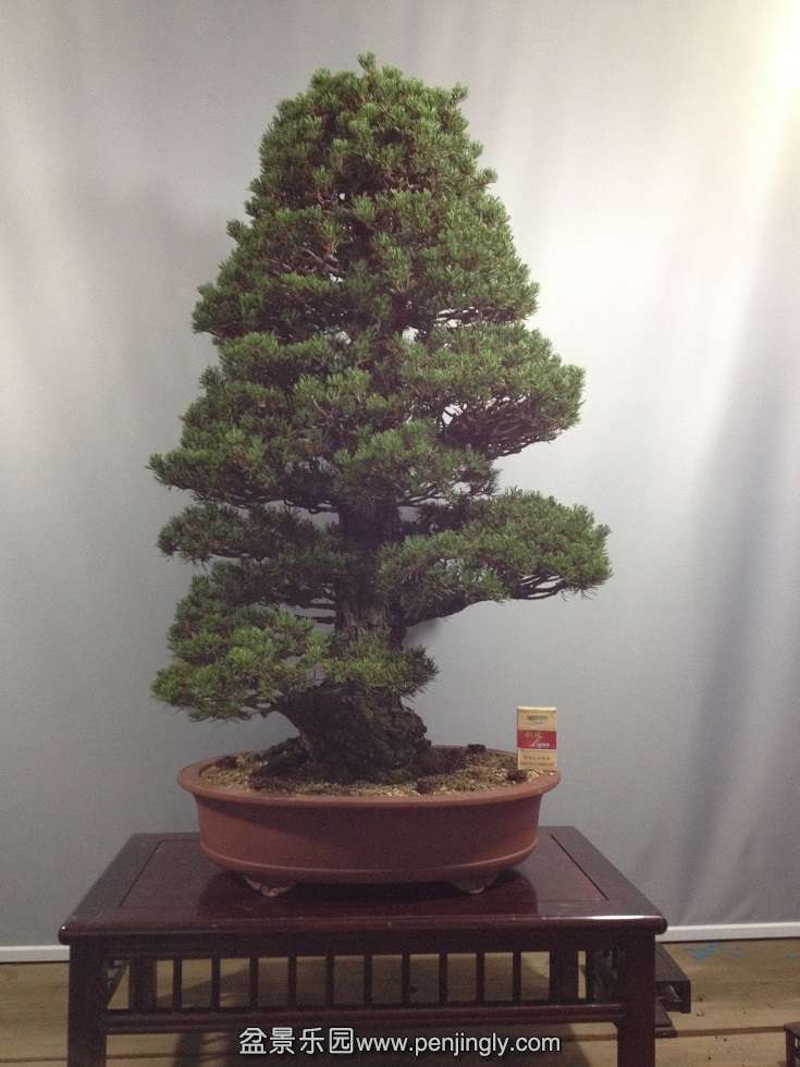 �����100��cm10cm