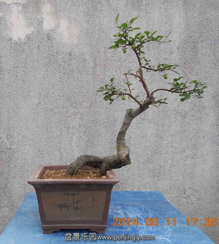 04ѻ׮衾1.jpg