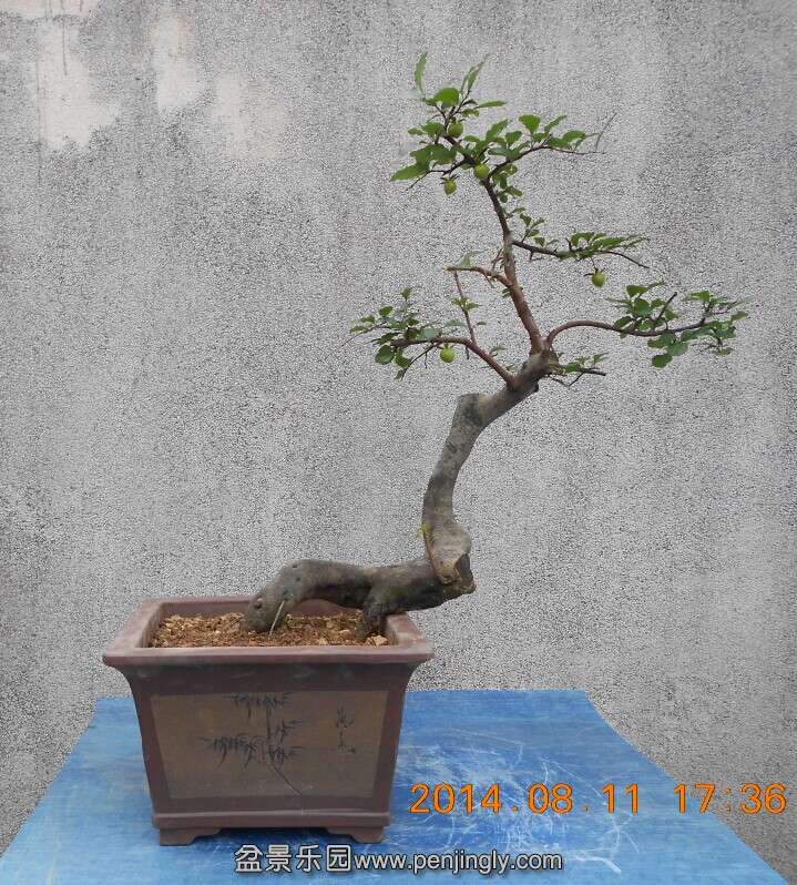 04ѻ׮衾3.jpg