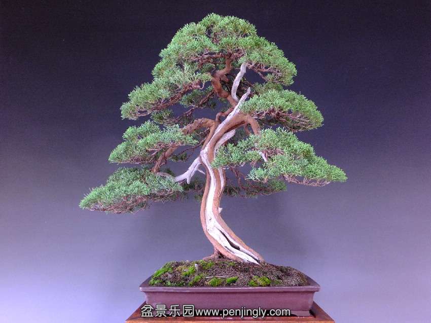 20140730_ac3536.jpg