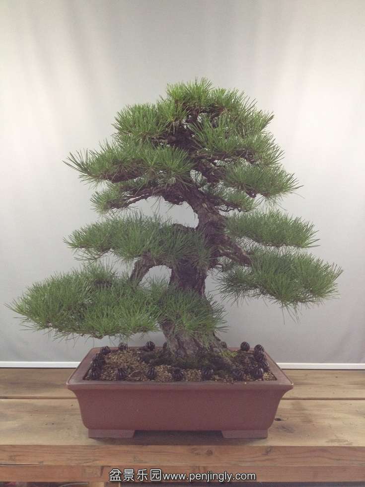 18cm  90cm