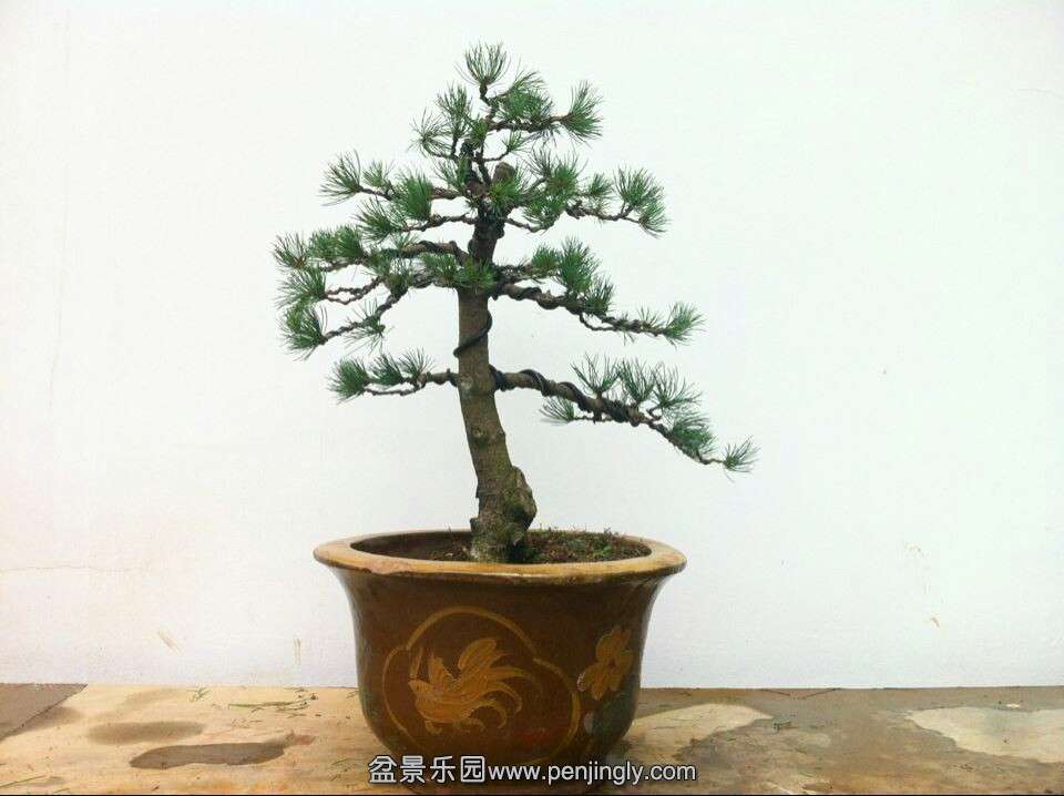QQͼƬ20140812193652.jpg