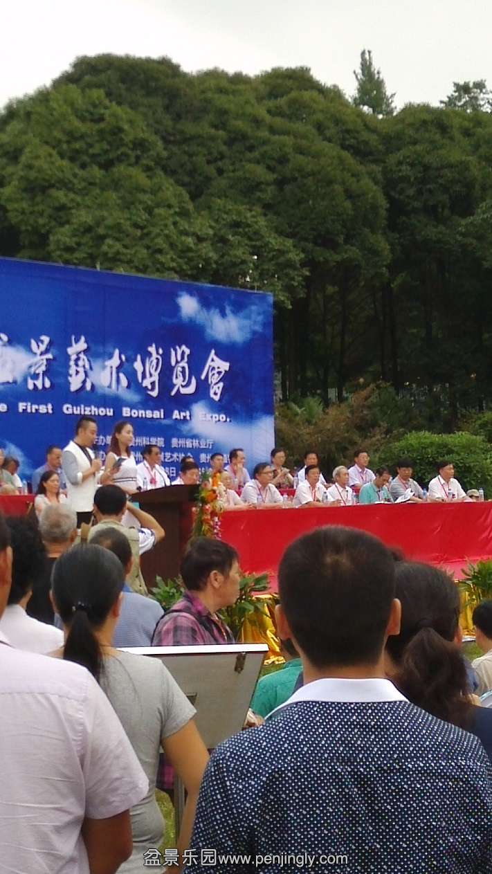 IMG_20140808_101713.jpg