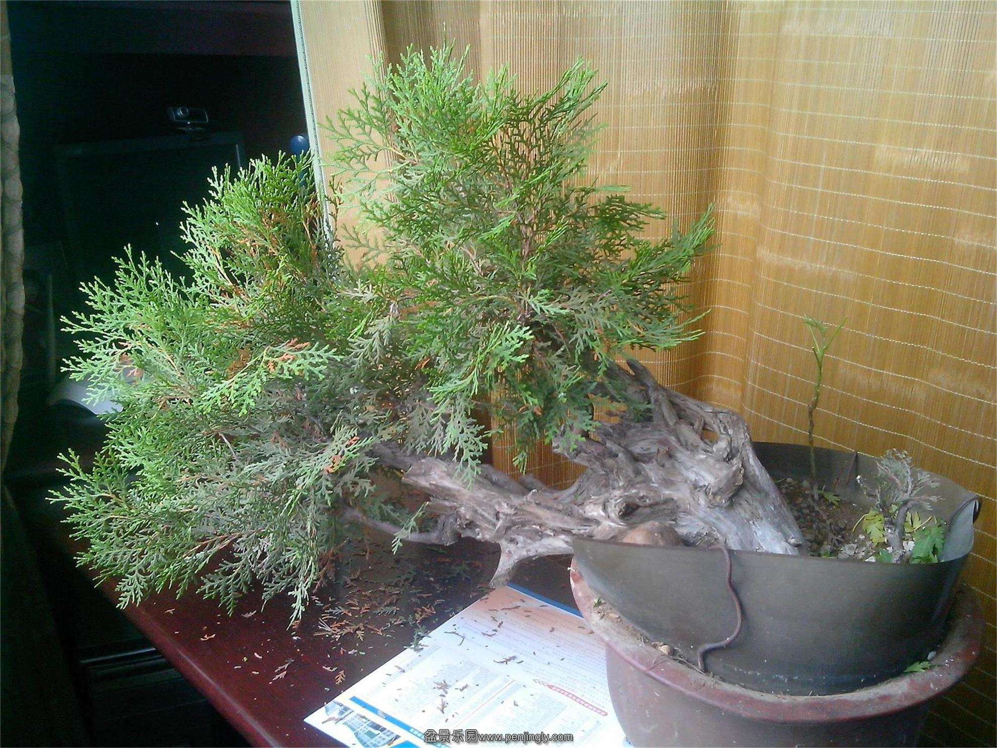 IMG20140813001_ͼ.jpg