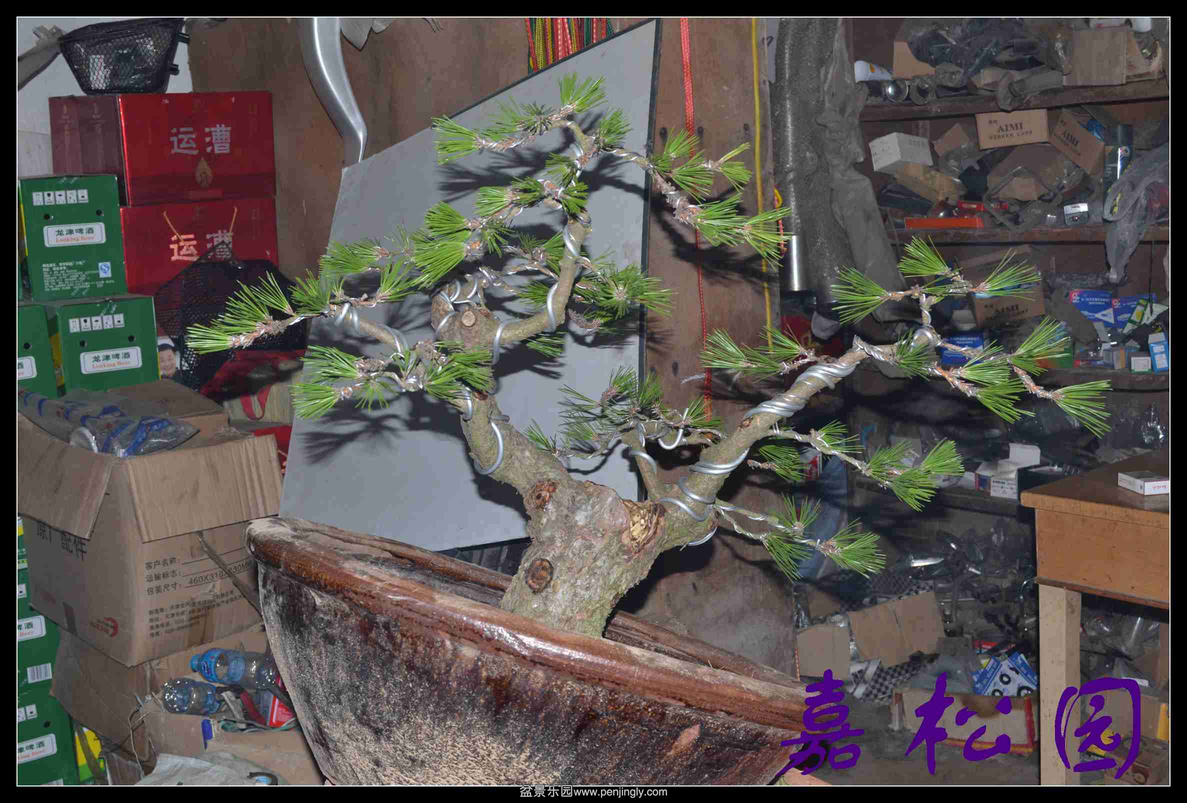 ���� 003.JPG