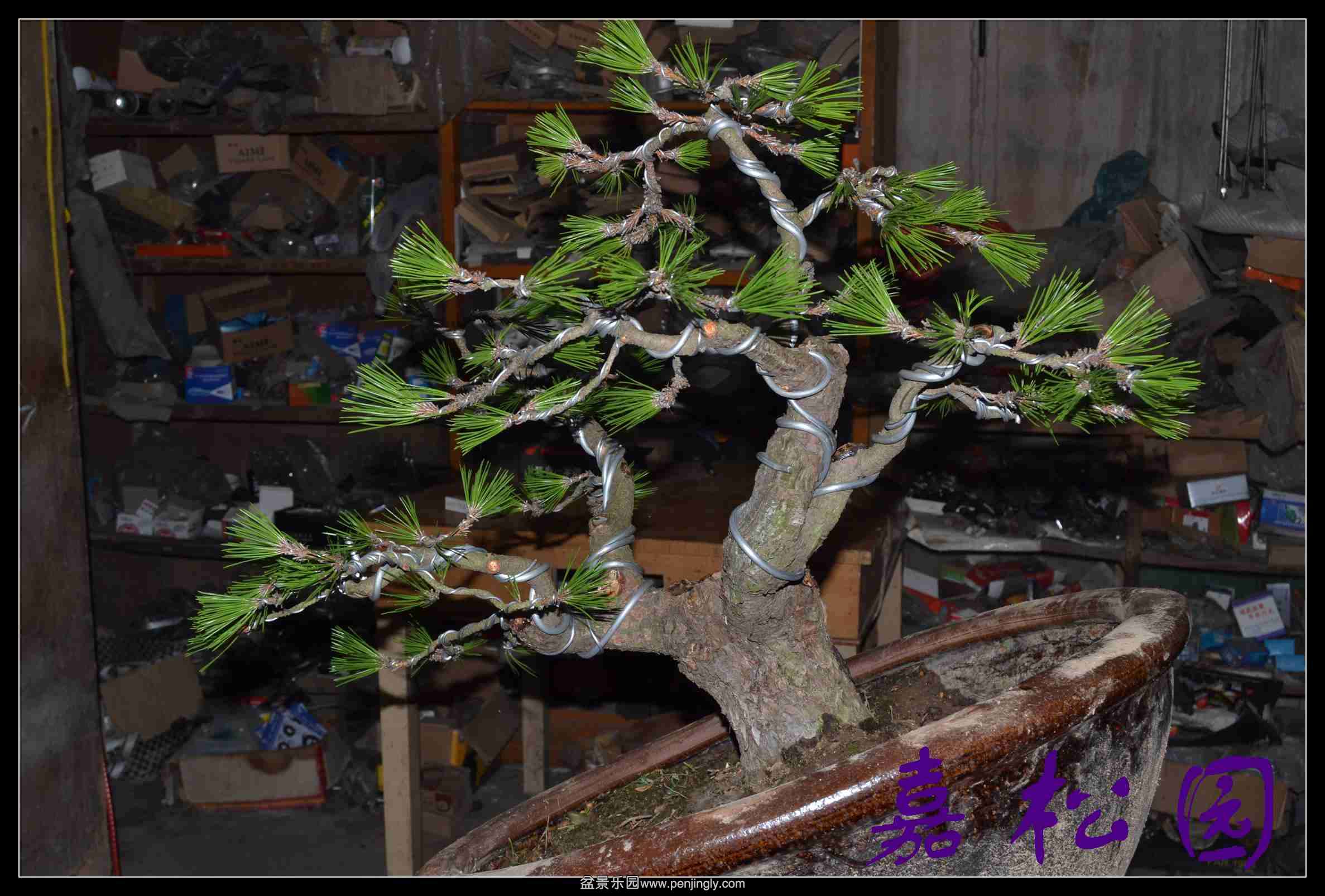 ���� 004.JPG