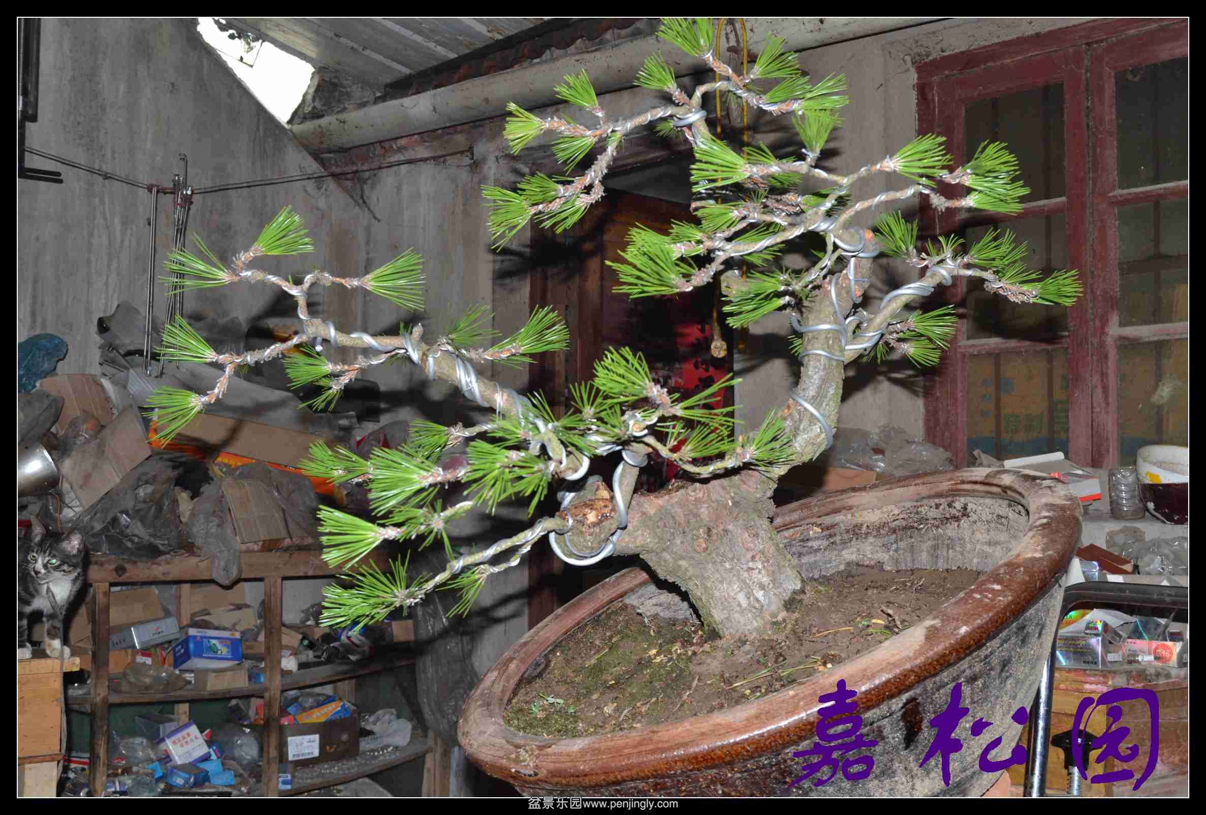 ���� 005.JPG