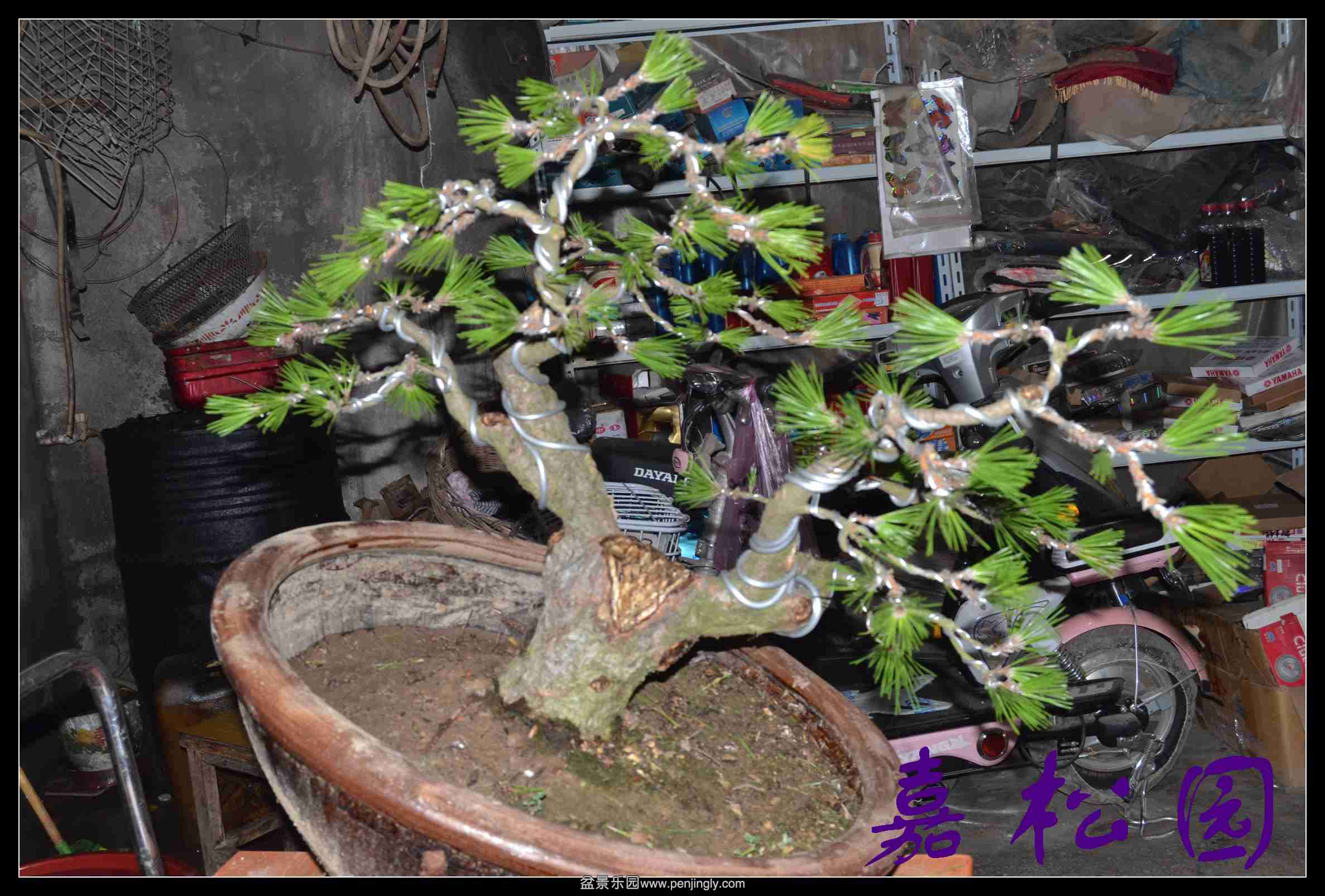 ���� 006.JPG