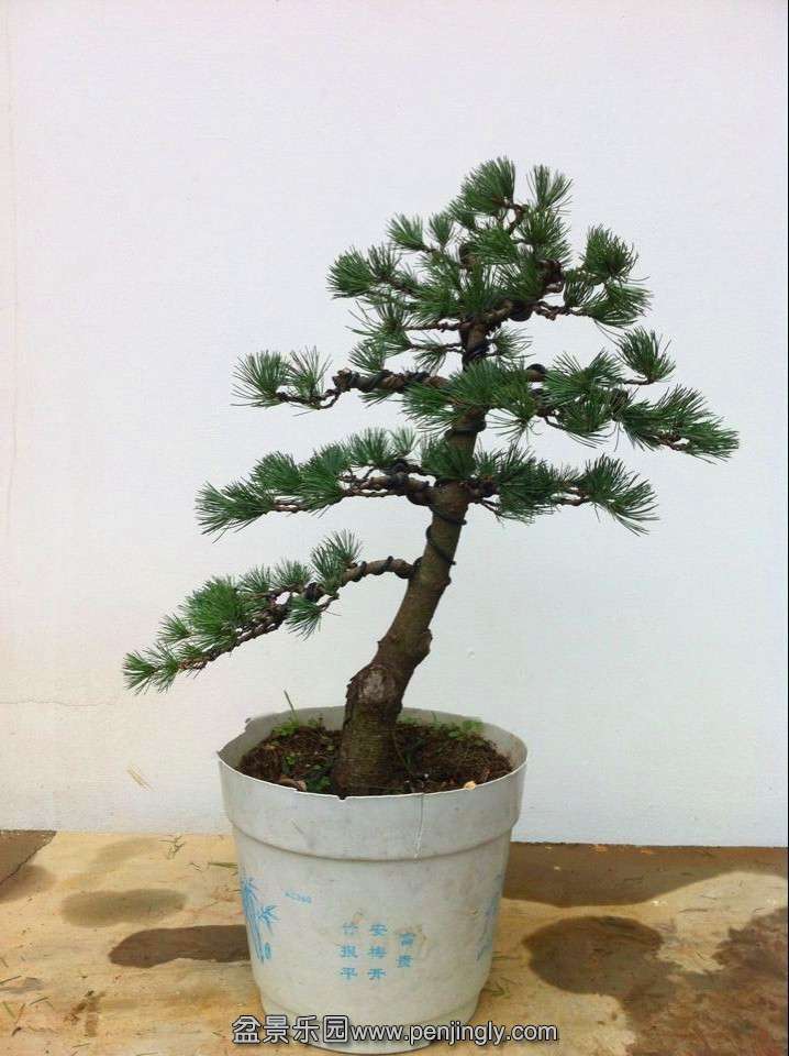 QQͼƬ20140812193721.jpg