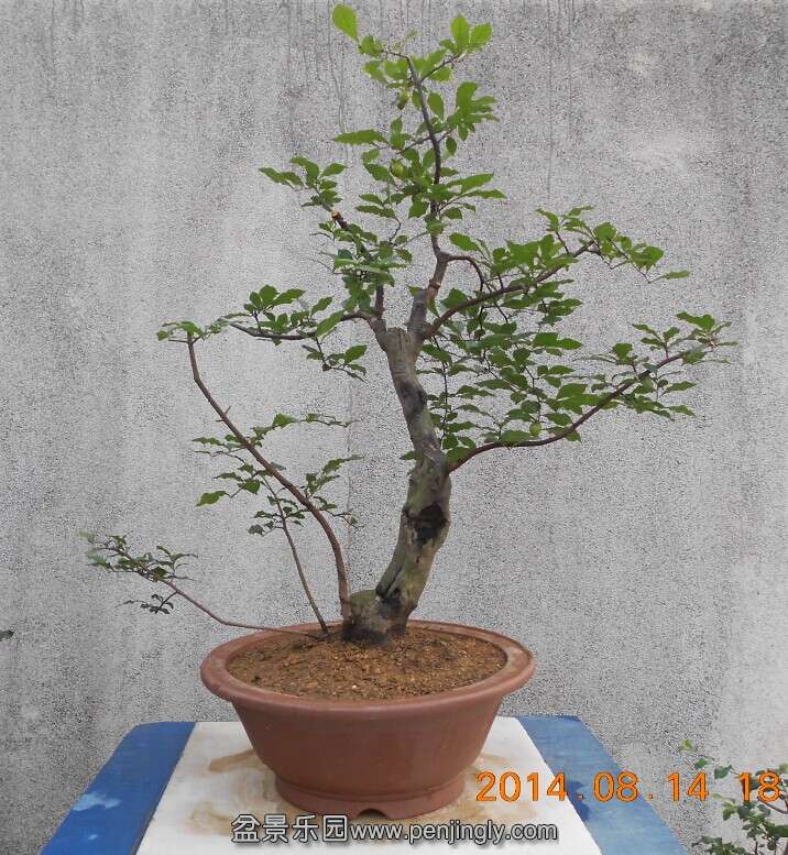 05ѻ׮7.jpg