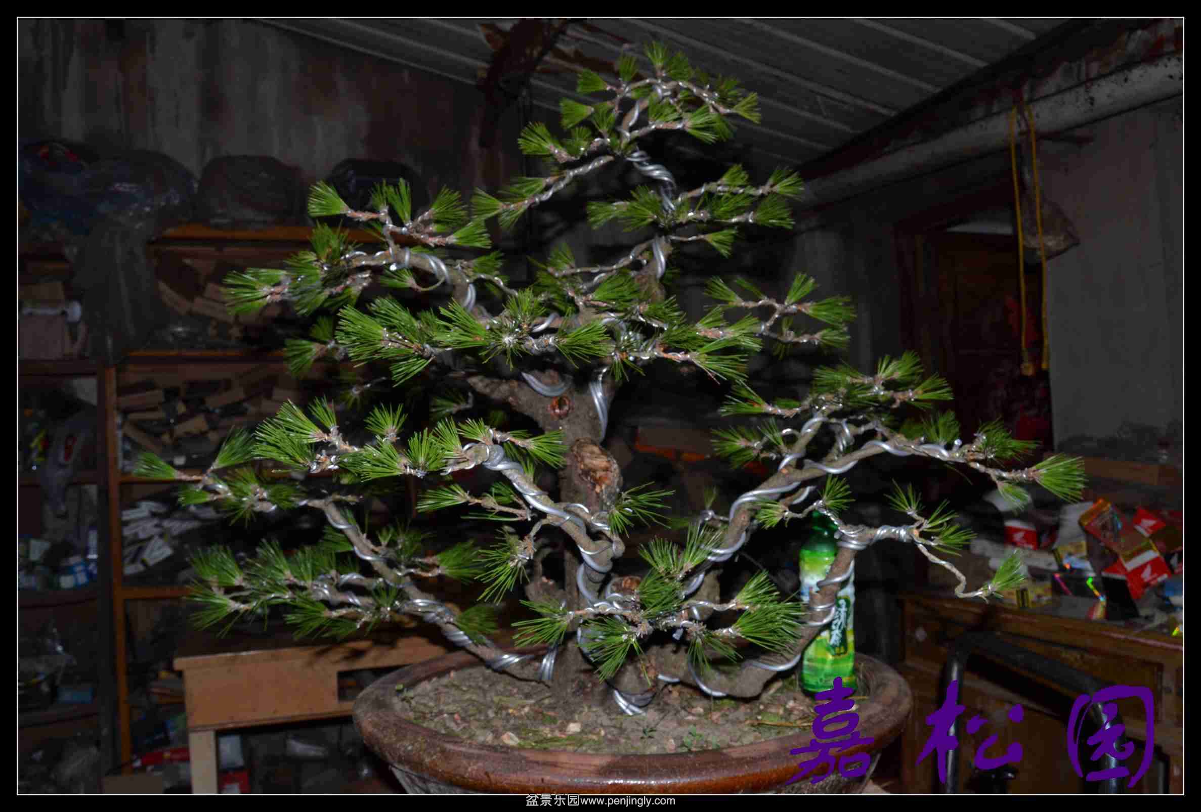 �����Ͷ�� 002.JPG