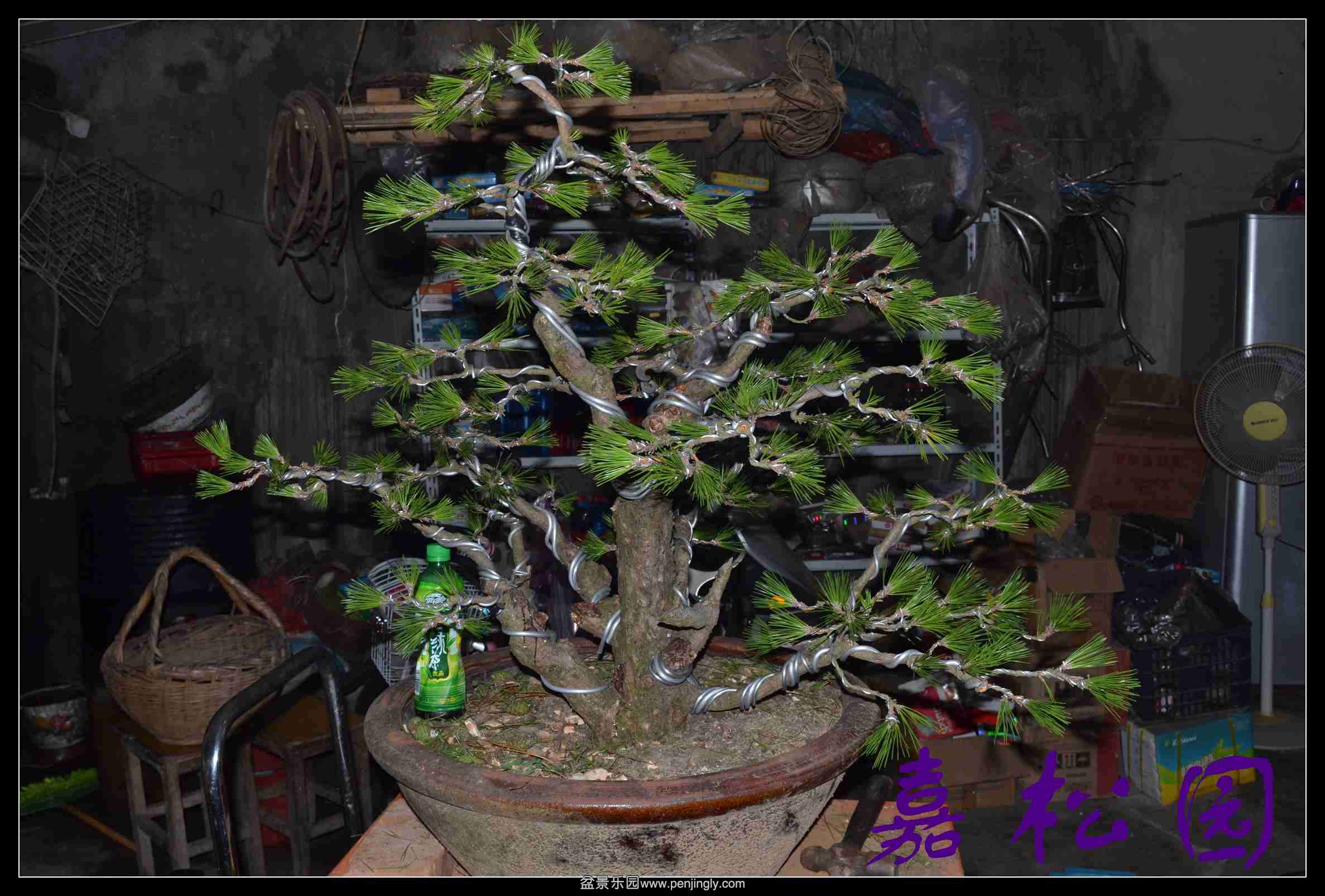 �����Ͷ�� 005.JPG