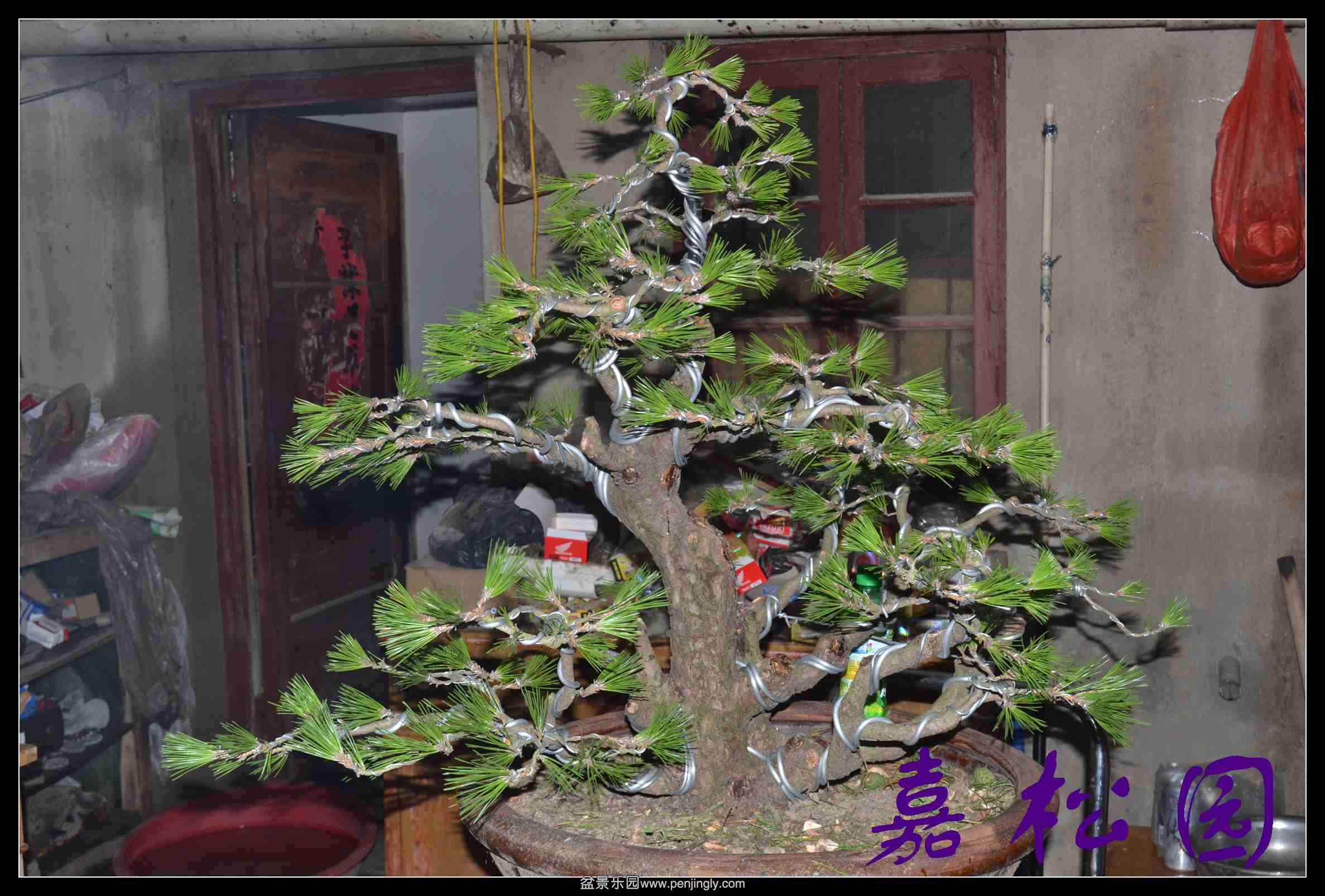 �����Ͷ�� 006.JPG