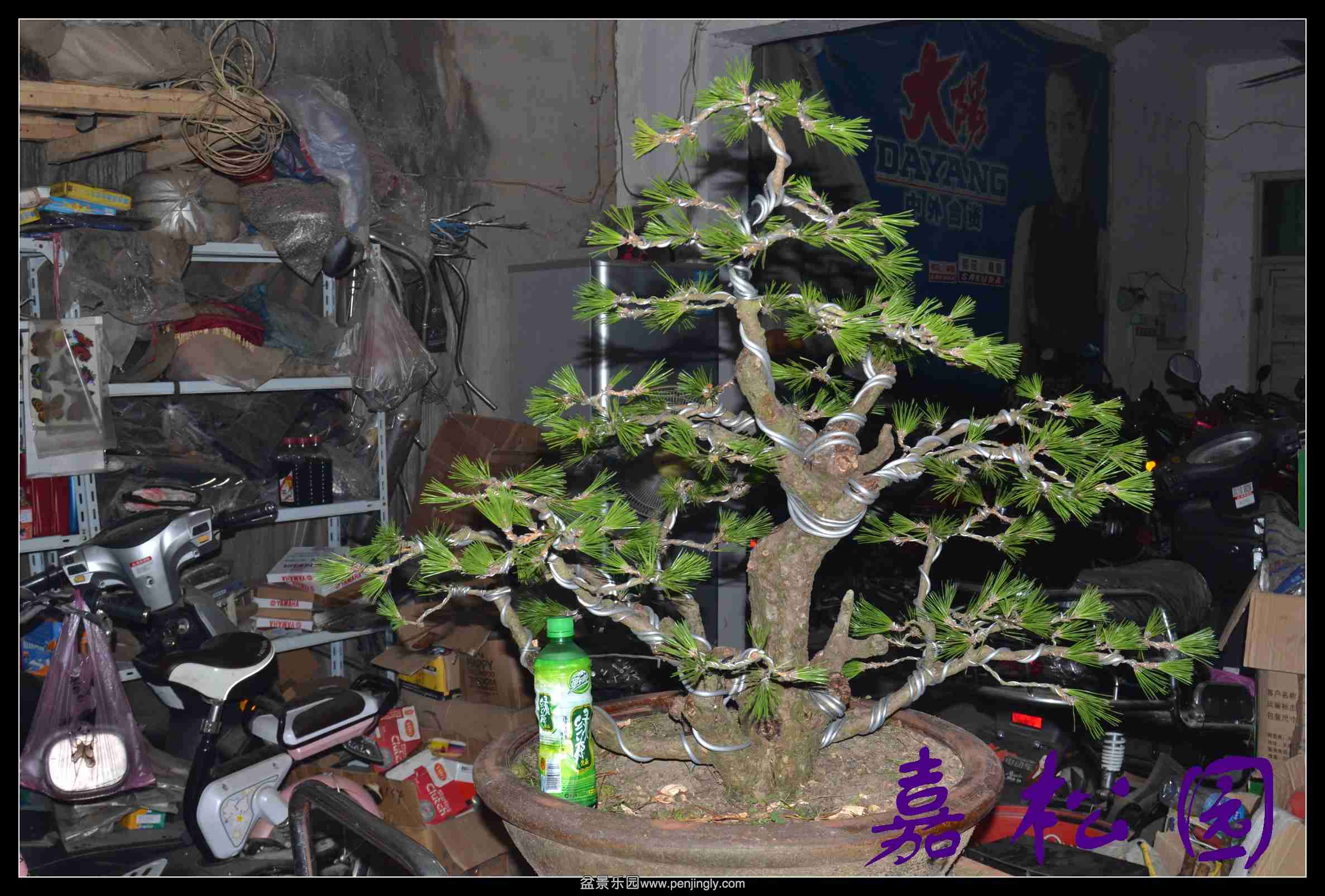 �����Ͷ�� 008.JPG