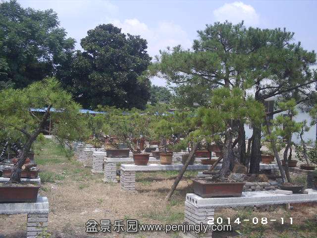 PHOT0327.JPG