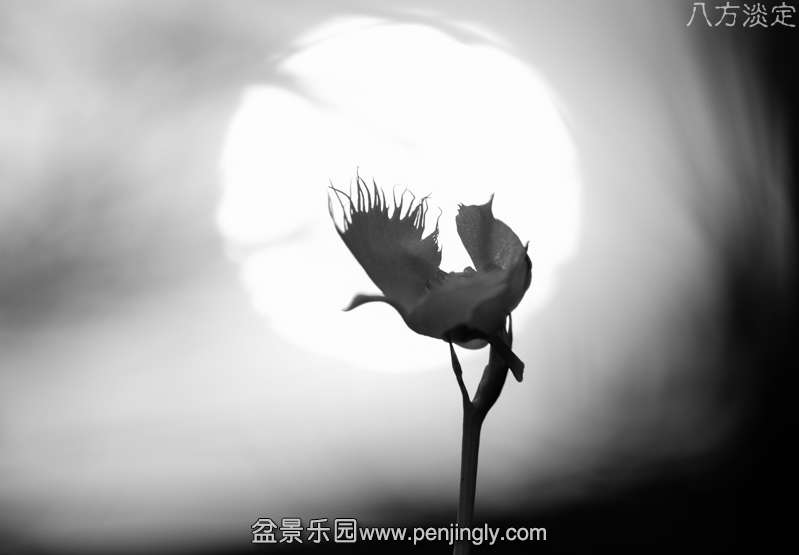 ز (7).JPG