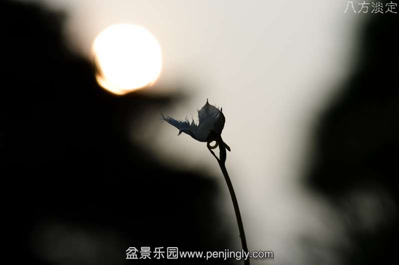 ز (13).JPG