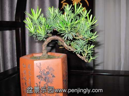 IMG_1750.JPG1.jpg