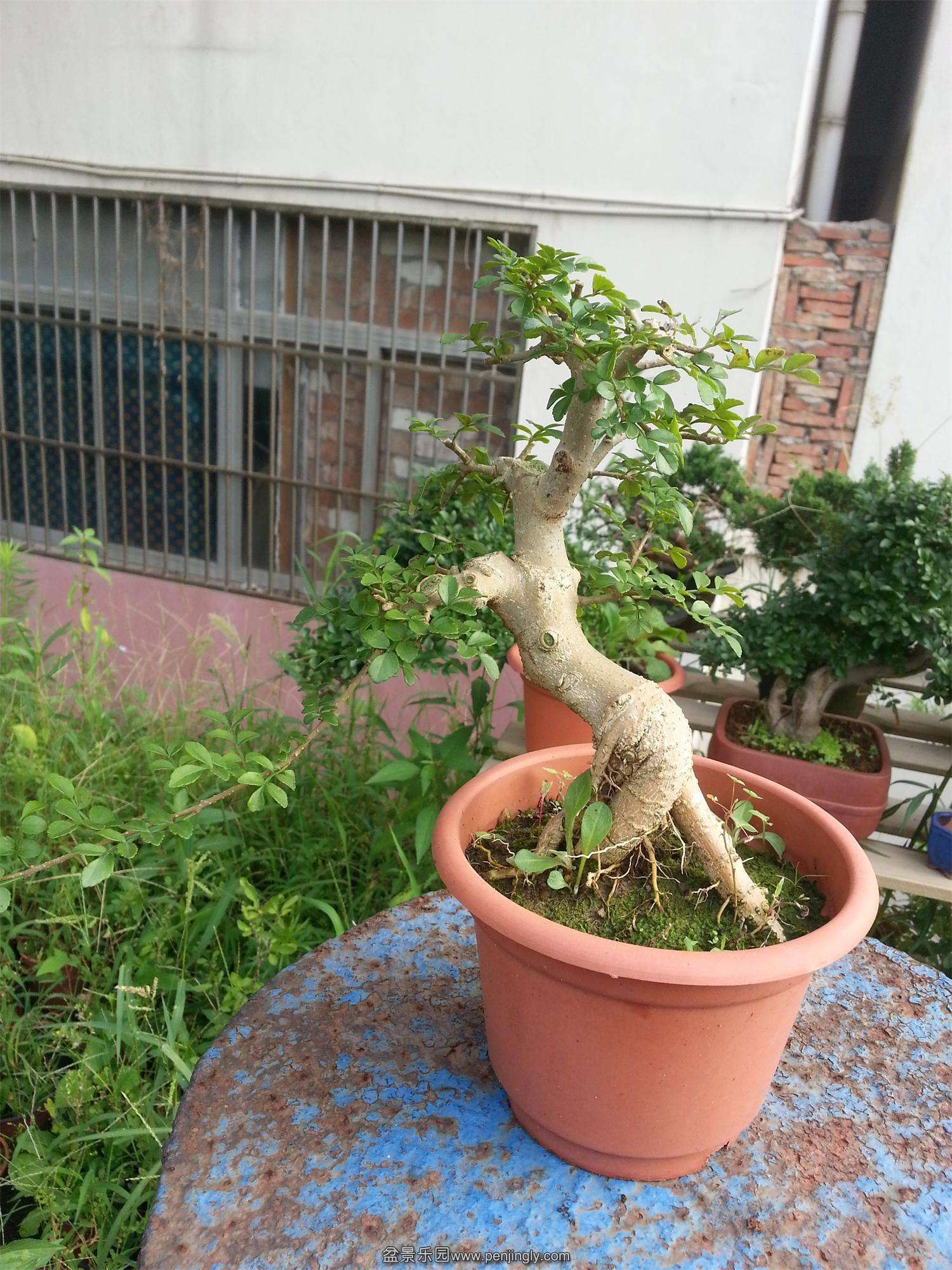 20140816_072126.jpg