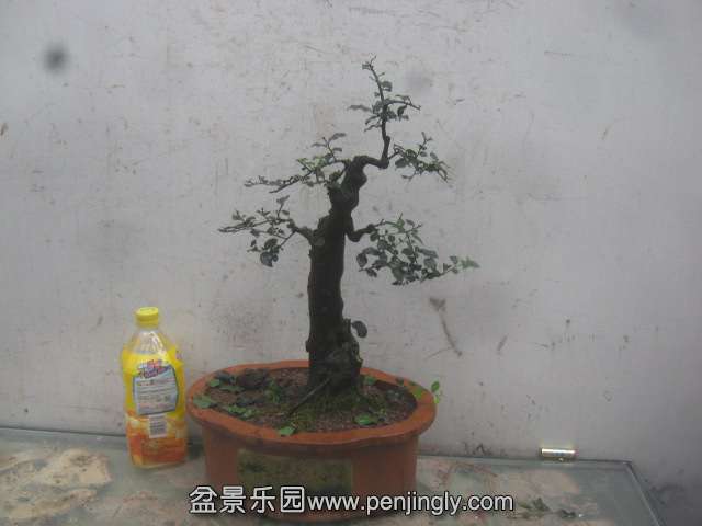 IMG_2474.JPG
