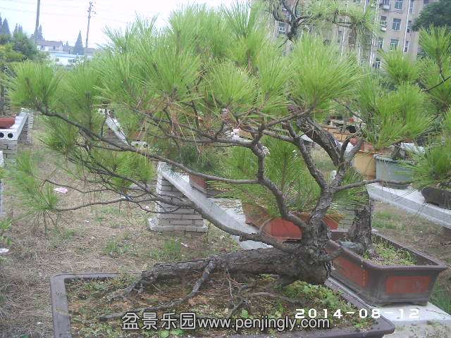 PHOT0338.JPG
