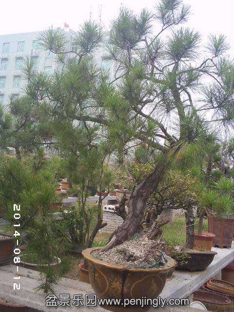 PHOT0343.JPG