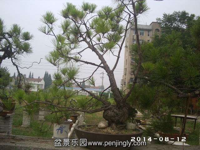 PHOT0345.JPG