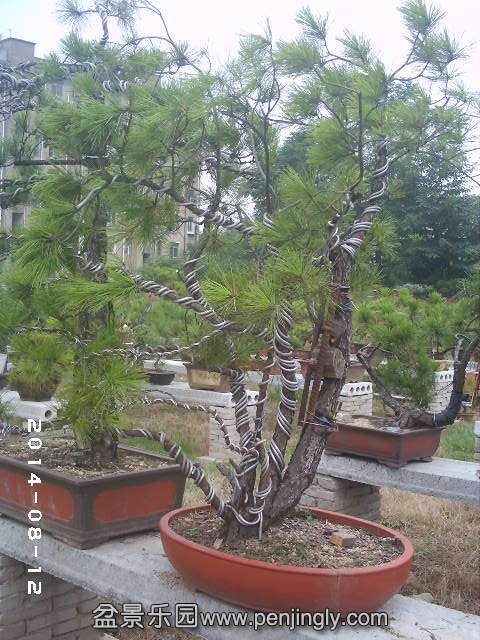 PHOT0350.JPG