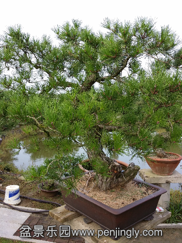 20140817_065901.jpg