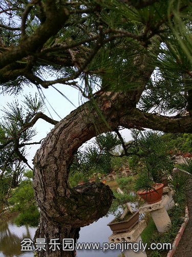 20140817_065841.jpg