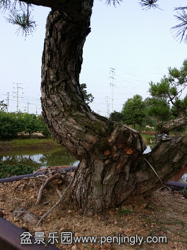 20140817_065813.jpg