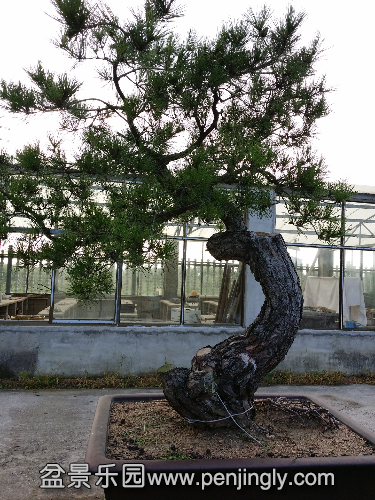 20140817_065724.jpg