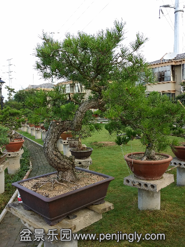 20140817_065619.jpg