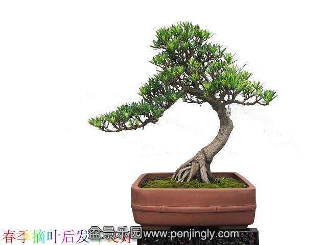 ���� �޺���ժҶ��Ҷ����1.jpg