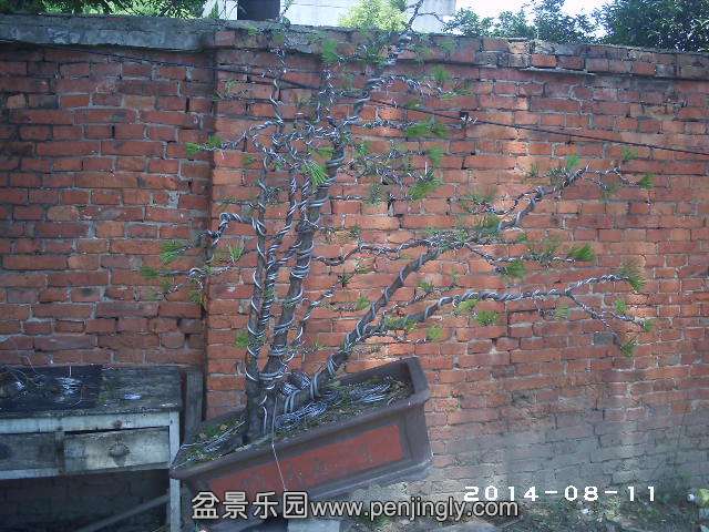 PHOT0307.JPG