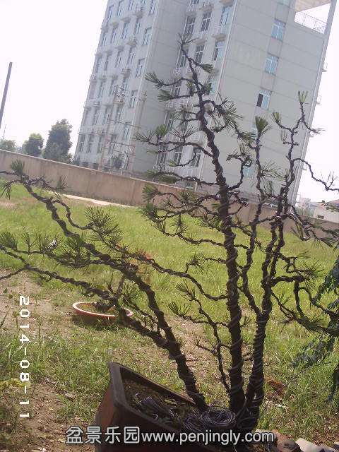 PHOT0309.JPG
