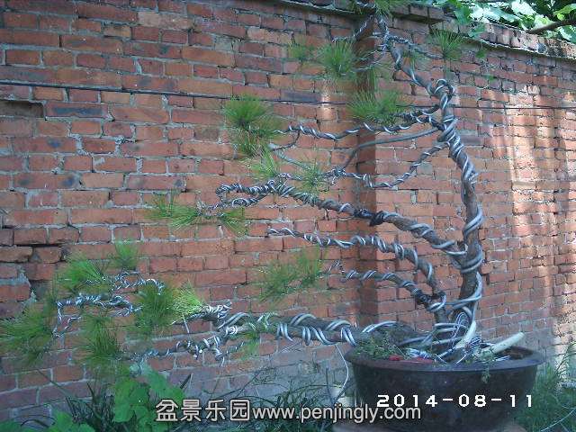 PHOT0311.JPG