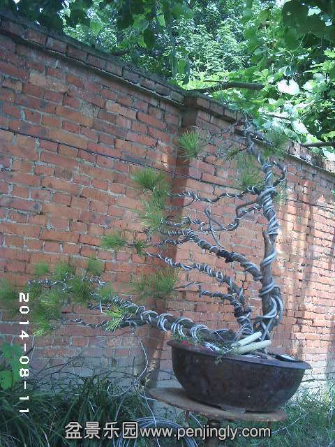 PHOT0312.JPG