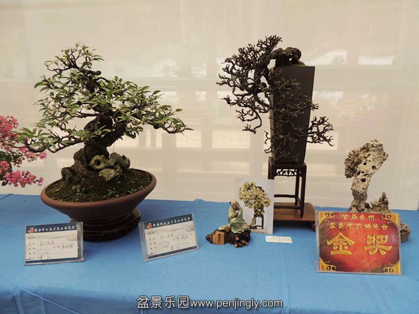 DSCN5707_.jpg