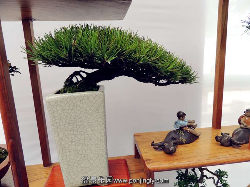 DSCN5703_.jpg
